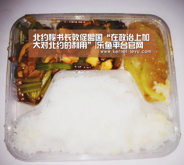 北约秘书长敦促盟国“在政治上加大对北约的利用”|乐鱼平台官网(图1) 乐鱼官网