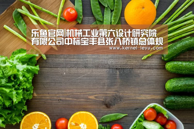乐鱼官网|机械工业第六设计研究院有限公司中标宝丰县张八桥镇总体规划设计项目(图1) 乐鱼官网