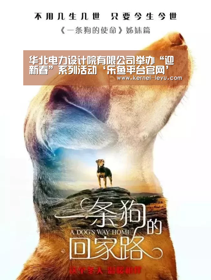 华北电力设计院有限公司举办“迎新春”系列活动‘乐鱼平台官网’(图2) 乐鱼平台官网