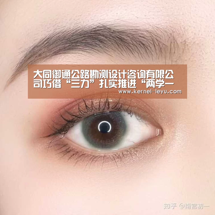 大同御通公路勘测设计咨询有限公司巧借“三力”扎实推进“两学一做”|乐鱼官网登录(图4) 乐鱼电竞