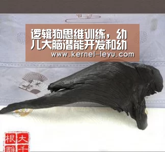 乐鱼官网