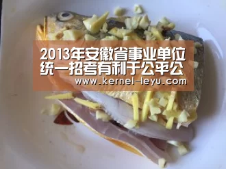 乐鱼电竞
