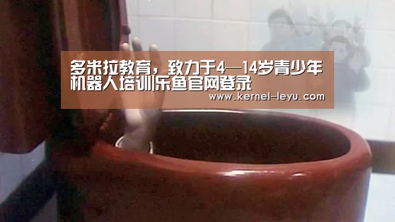 多米拉教育,致力于4—14岁青少年机器人培训|乐鱼官网登录(图1) 乐鱼官网