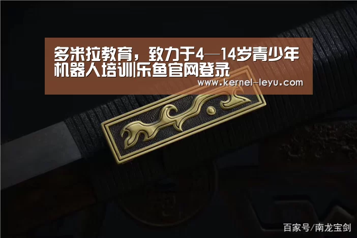 多米拉教育,致力于4—14岁青少年机器人培训|乐鱼官网登录(图3) 乐鱼官网登录