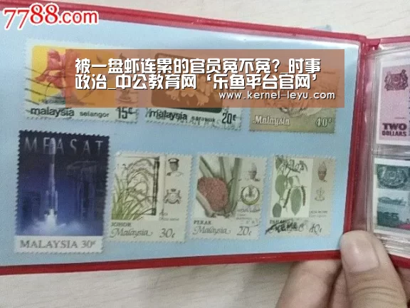 乐鱼平台官网