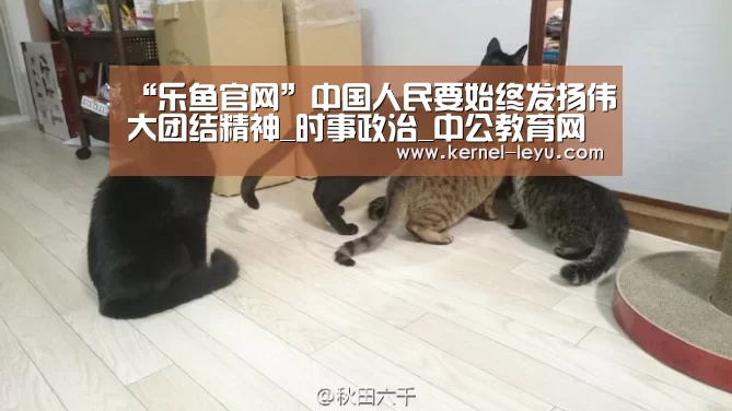 乐鱼平台官网