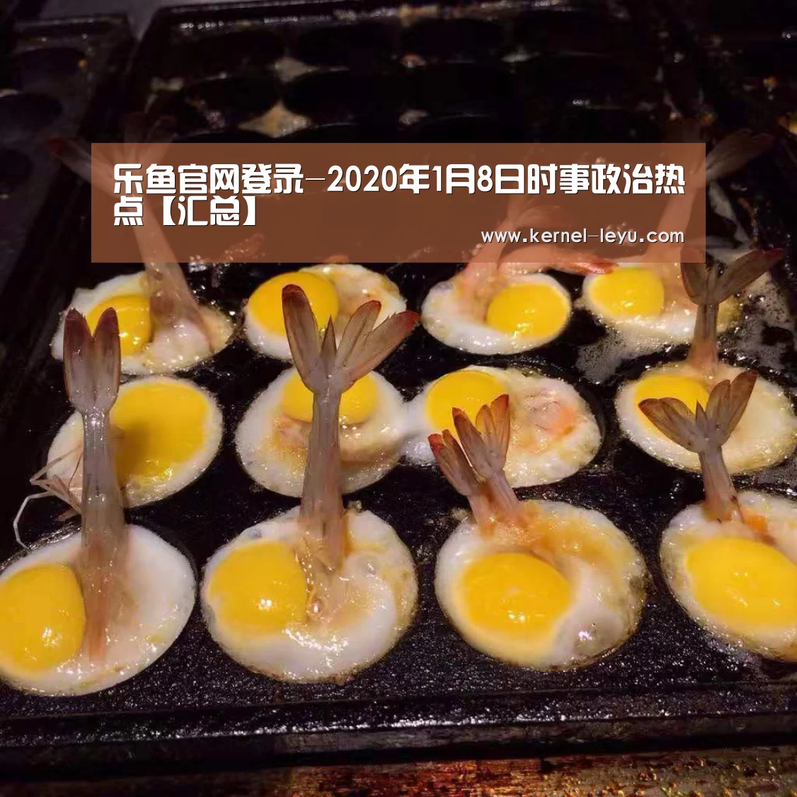 乐鱼官网