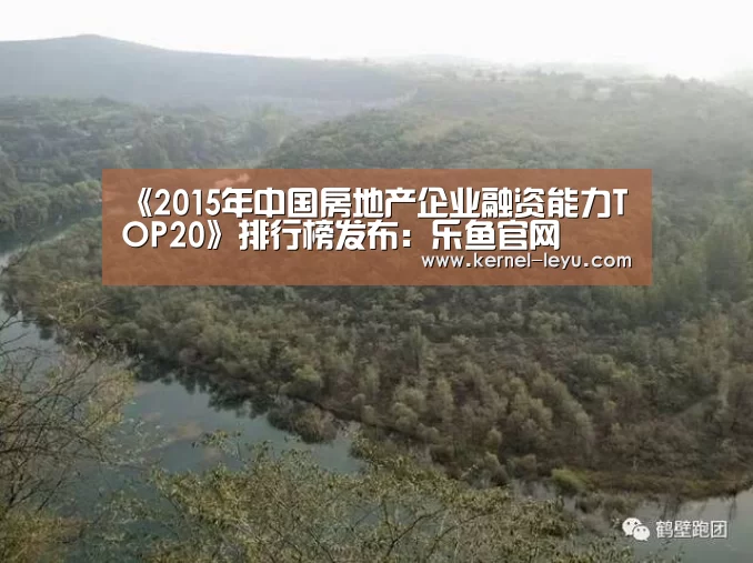 《2015年中国房地产企业融资能力TOP20》排行榜发布:乐鱼官网(图2) 乐鱼平台官网