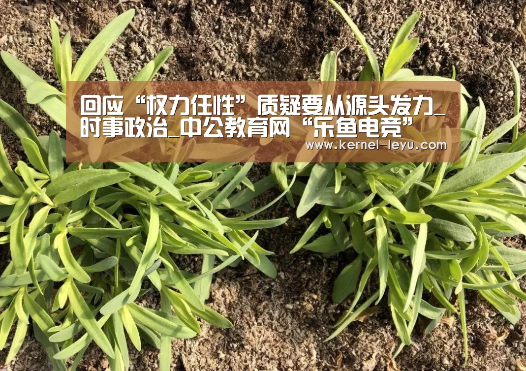 回应“权力任性”质疑要从源头发力_时事政治_中公教育网“乐鱼电竞”(图4) 乐鱼电竞