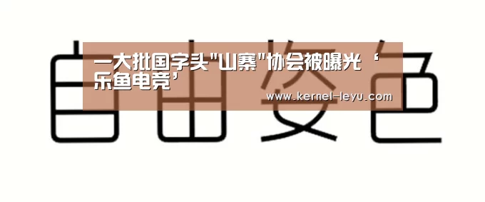 一大批国字头山寨协会被曝光‘乐鱼电竞’(图2) 乐鱼平台官网