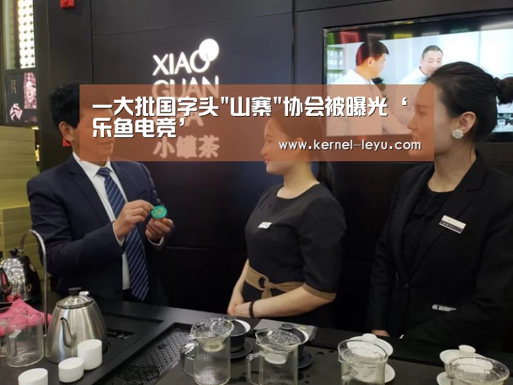 一大批国字头山寨协会被曝光‘乐鱼电竞’(图1) 乐鱼电竞