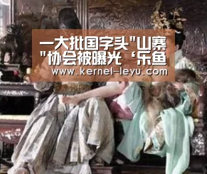 一大批国字头山寨协会被曝光‘乐鱼电竞’(图3) 乐鱼电竞