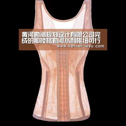 黄河勘测规划设计有限公司完成的那棱格勒河水利枢纽可行性研究报告顺利通过评估“乐鱼官网”(图2) 乐鱼官网登录