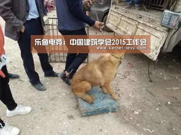乐鱼电竞:中国建筑学会2015工作会(图1) 乐鱼官网登录