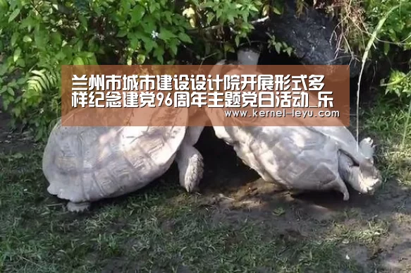 乐鱼官网