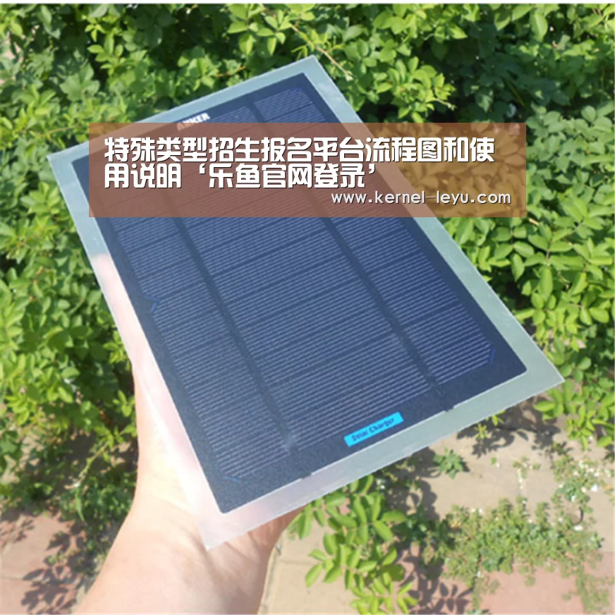 特殊类型招生报名平台流程图和使用说明‘乐鱼官网登录’(图2) 乐鱼官网