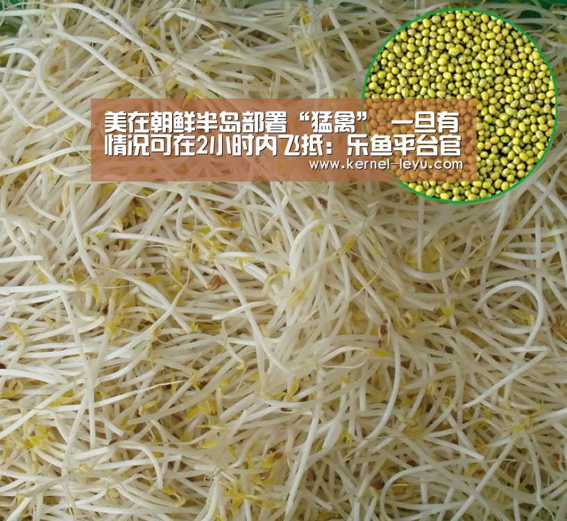 美在朝鲜半岛部署“猛禽” 一旦有情况可在2小时内飞抵:乐鱼平台官网(图3) 乐鱼平台官网
