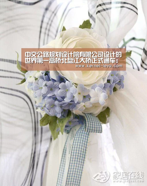 中交公路规划设计院有限公司设计的世界第一高桥北盘江大桥正式通车:乐鱼平台官网(图2) 乐鱼官网